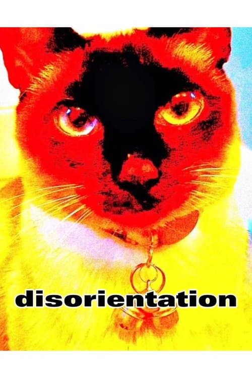 disorientation
