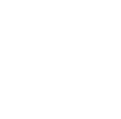 Big Crazy Family Adventure