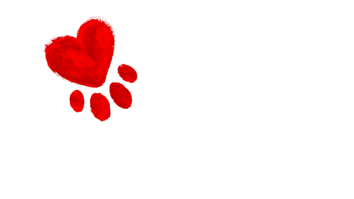 Kobieta sukcesu