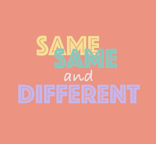 Same Same And Different