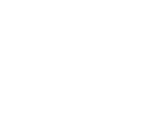 The Lychee Road