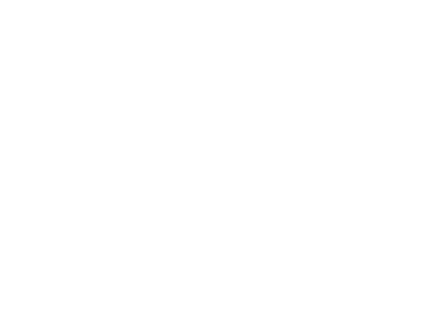 Una famiglia perfetta