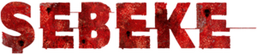 Şebeke