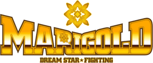 Dream Star Fighting MARIGOLD