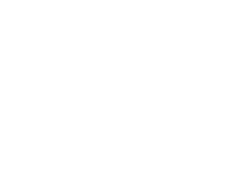 Beautiful Creatures