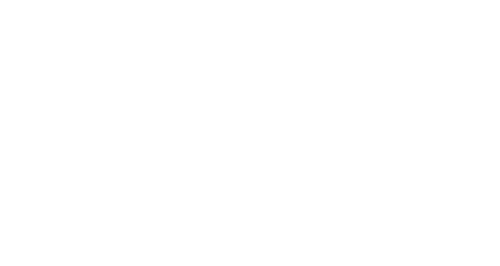 Your Honor