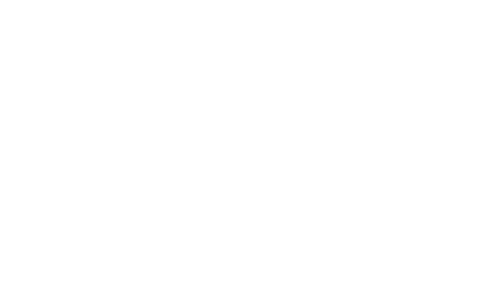Mallandro: O Errado que Deu Certo