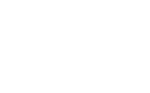 Director's Cut