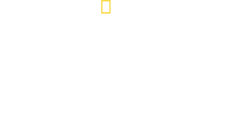 Sharks vs. Dolphins: Blood Battle