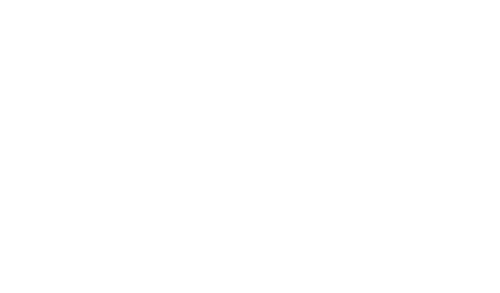 №13
