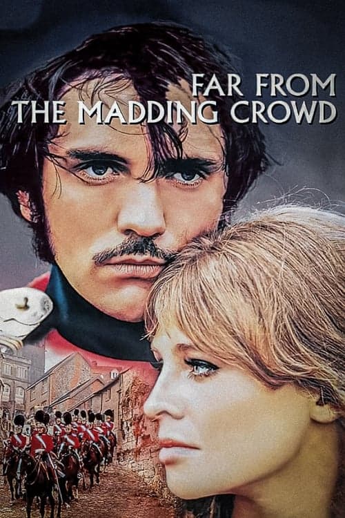 Far from the Madding Crowd