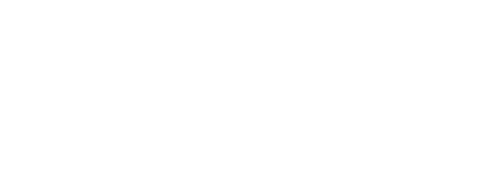 Zenek