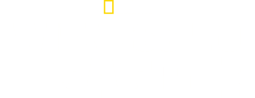 Witness to Disaster