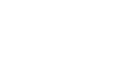 The Last Summoner