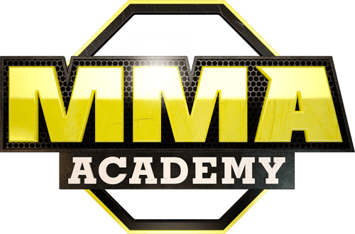 MMA Academy