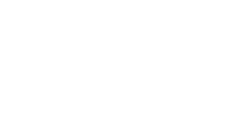 Dog Years