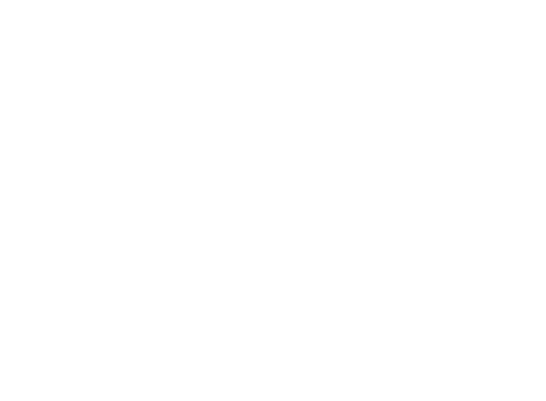 The Rise of Jordan Peterson