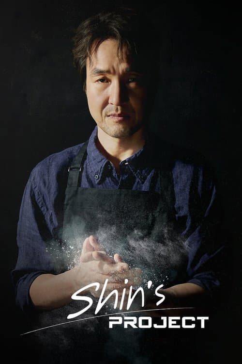 Shin's Project