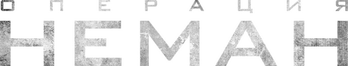 Operation Neman