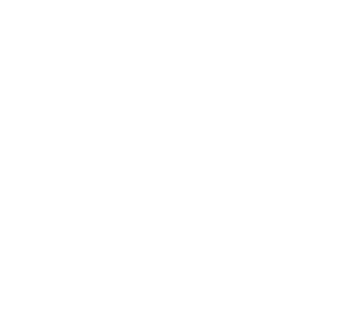 Четвертая смена