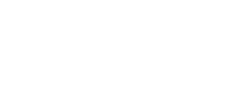 Solo