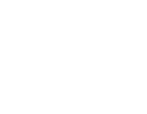 Bikes vs Cars
