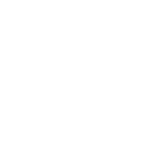 Zorro