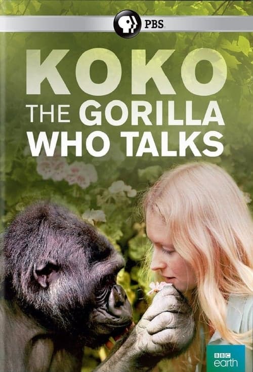 Koko: The Gorilla Who Talks to People