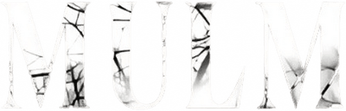 Mulm