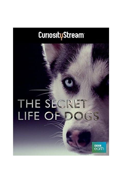 The Secret Life of Dogs