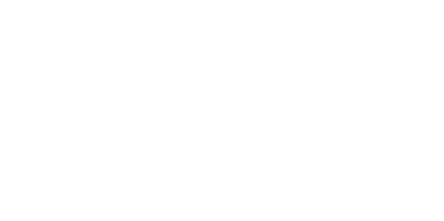 Blue Jay