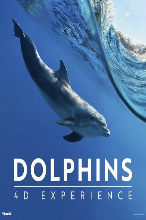 Dolphins 4-D Experience