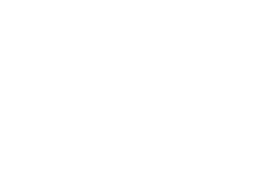 Illegal Woman