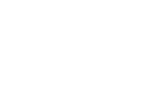 UFC 313: Pereira vs. Ankalaev