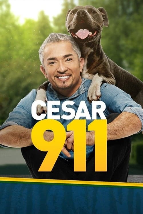 Cesar 911