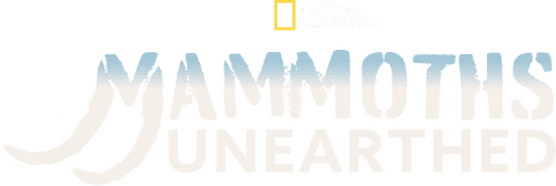 Mammoth Unearthed
