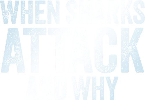 When Sharks Attack... and Why