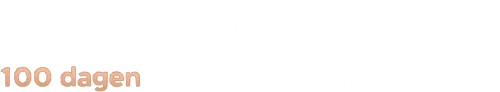 Een Valse Start - 100 Dagen in de Jeugd- en Gezinszorg