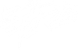Star of Ocean