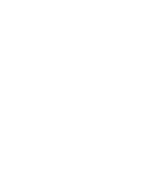 Peace Peace Now Now