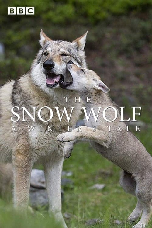 The Snow Wolf: A Winter's Tale