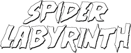 The Spider Labyrinth