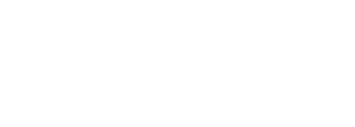 Idiot