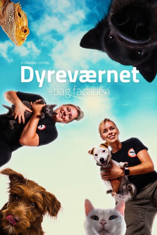 Dyreværnet - bag facaden