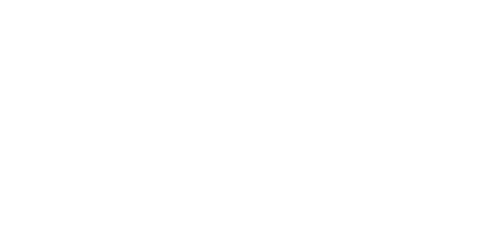 Camera Motor