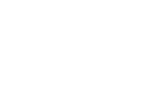 Lilo & Stitch