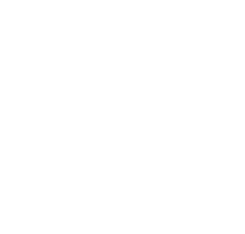 The Slut