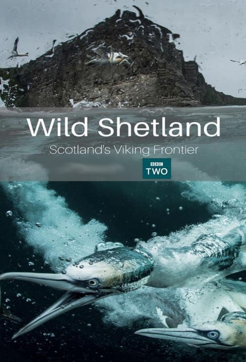 Wild Shetland: Scotland's Viking Frontier