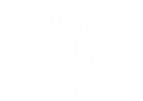 A Rainy Day in New York