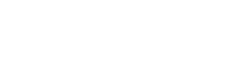 Master Detective Blomkvist